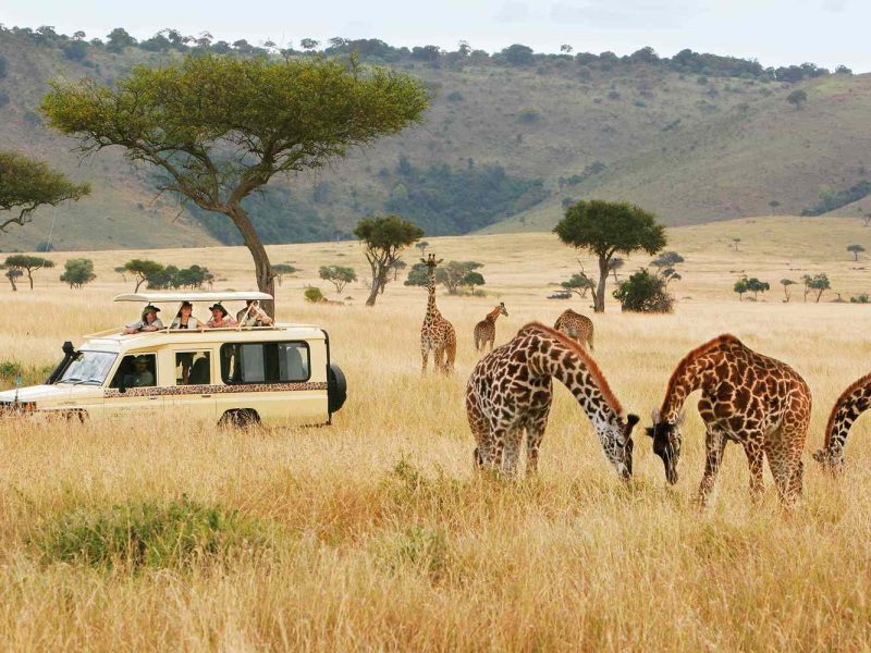 safari-truck-giraffes-micato-safaris-SAFARIGUIDETIPS0721-2549bb165aa34dc193cb8b6f3958654b